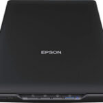 Epson - Perfection V19 Flatbed Color Image Scanner - Black