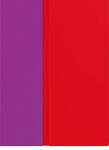 Logitech - BLOK Case for Apple® iPad® Air 2 - Red/Violet