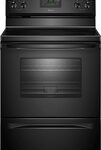 Amana - 4.8 Cu. Ft. Self-Cleaning Freestanding Electric Range - Black