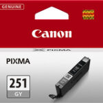Canon - 251 Ink Cartridge - Gray