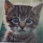 Insignia™ - Kitten Mouse Pad - Multi