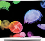 LG - 55" Class (54.6" Diag.) - OLED - Curved - 2160p - Smart - 3D - 4K Ultra HD TV - Gray