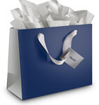 Best Buy Exclusive - Small Gift Bag - Navy Blue/Silver